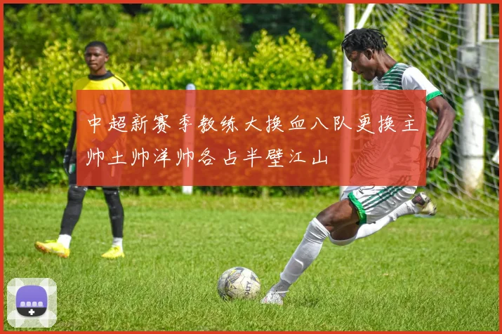 中超新赛季教练大换血八队更换主帅土帅洋帅各占半壁江山