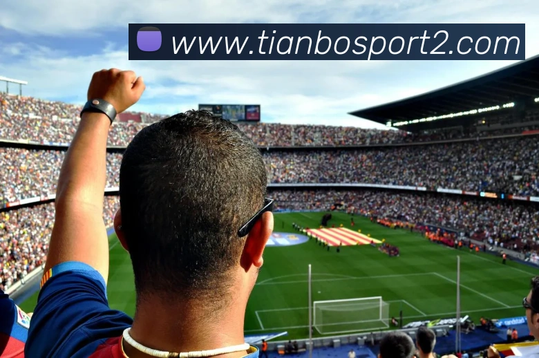 天博足球平台生态图